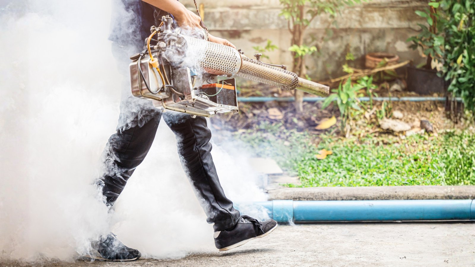 A thick chemical fog drifting low across vegetation during an outdoor mosquito treatment