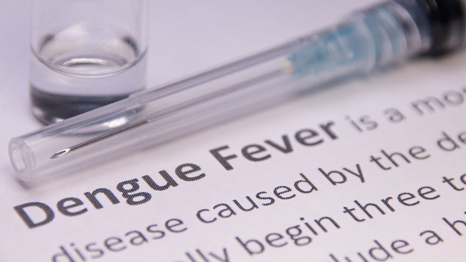 A dengue fever test document alongside a blood sample vial