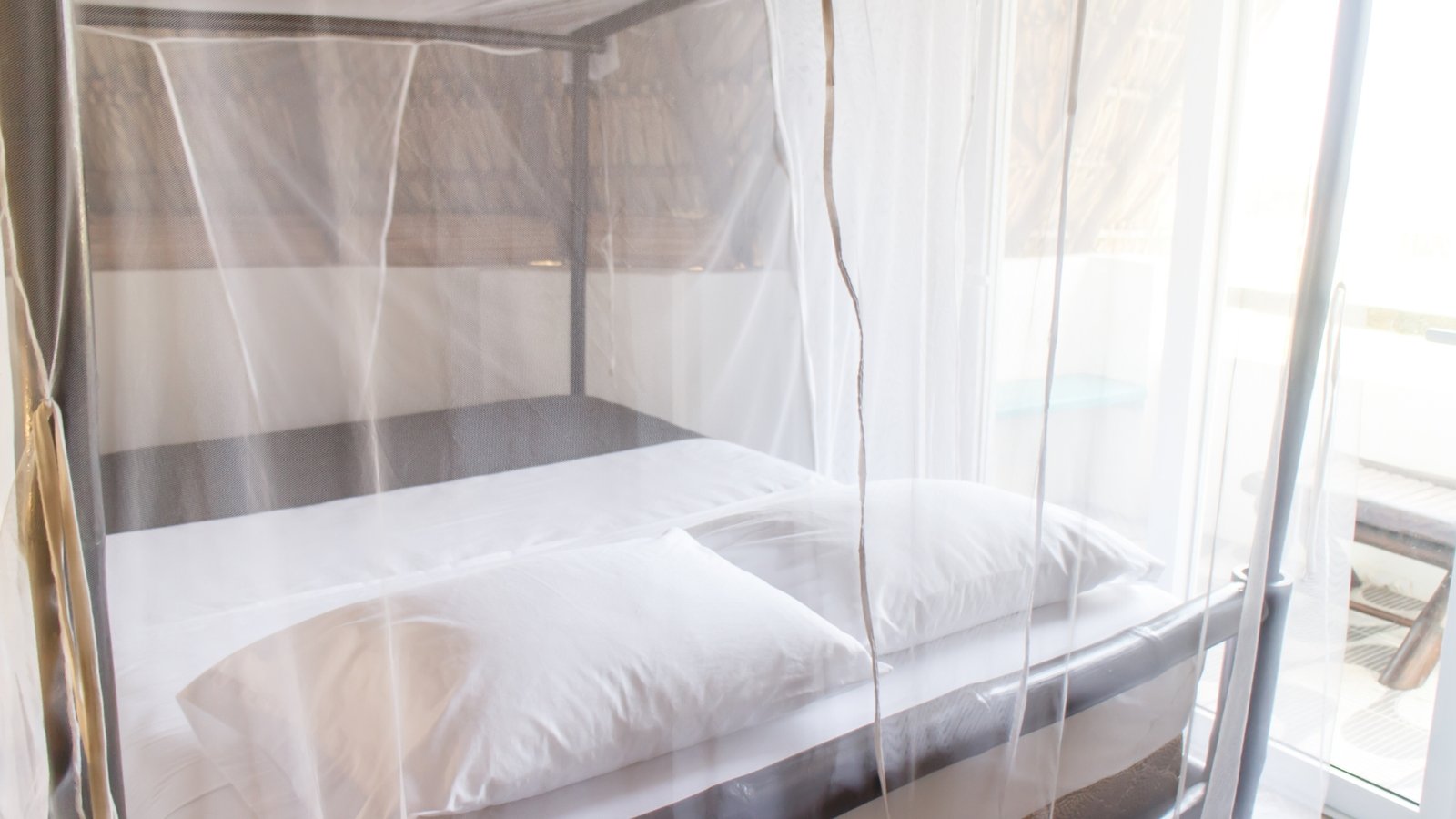 Mosquito-net