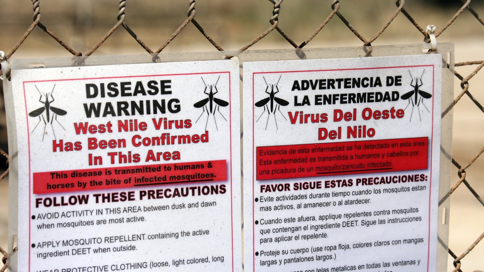 Signs-indicating-West-Nile-virus-were-confirmed-in-an-area