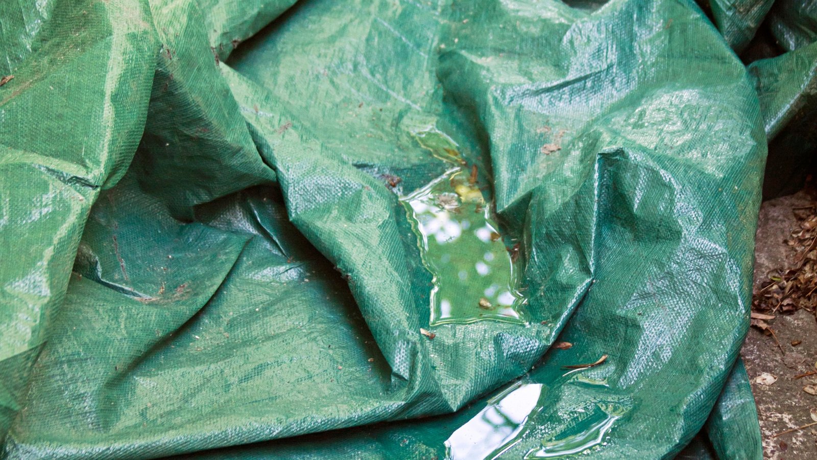 A loose tarp with pooled rainwater in its folds, a hidden mosquito breeding site
